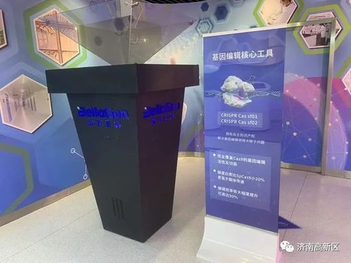 濟(jì)南高新技術(shù)產(chǎn)業(yè)開(kāi)發(fā)區(qū)管理委員會(huì) 文明實(shí)踐 政策帶動(dòng)與技術(shù)創(chuàng)新賦能種源安全 濟(jì)南高新區(qū)政企聯(lián)動(dòng)支撐濟(jì)南打造 種業(yè)之都